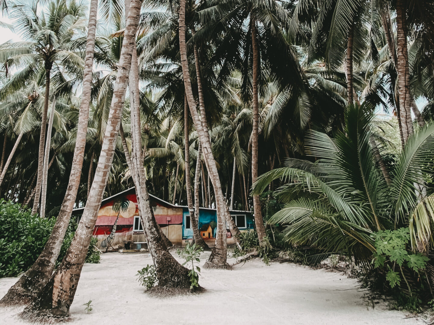 Isla Saona - Punta Cana - Dominikanische Republik 